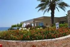 Aphrodite Beach Hotel Polis 