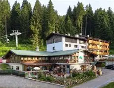 Hotel Selva 