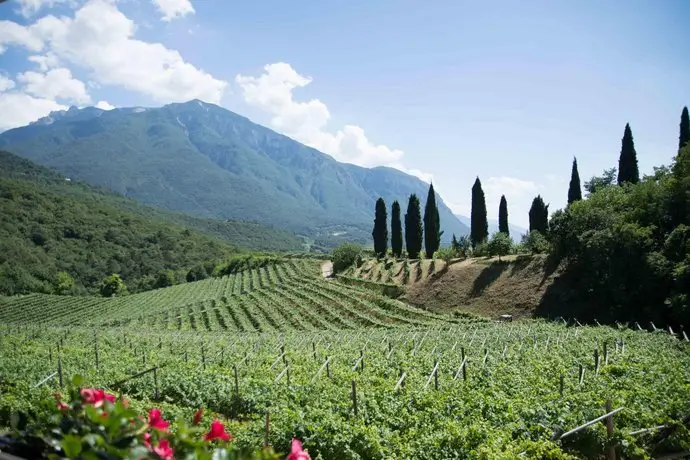 Agritur Casteller