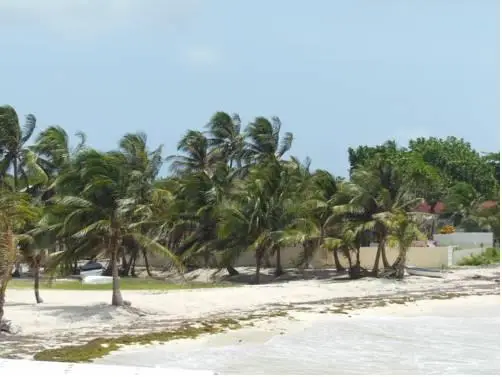 Rocky Cay Bay 