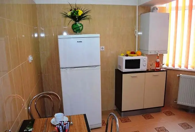 Central House Apartments Bacau 