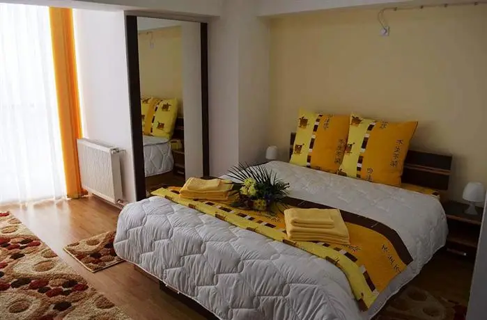 Central House Apartments Bacau 