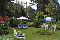 Royal Cocoon - Nuwara Eliya 