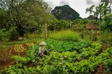 Tam Coc Garden Resort 