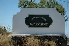 La Plantacion 