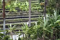 Ngeluwungan Boutique Villa 