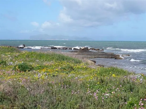 Laguna dei Fenici 