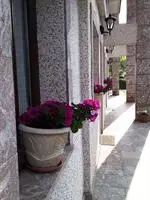 Apartamentos Las Palmeras Cangas de Onis 