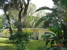 Tropical Fruit Garden 