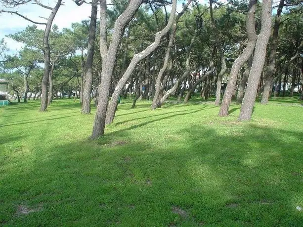 Parque de Campismo da Praia da Barra