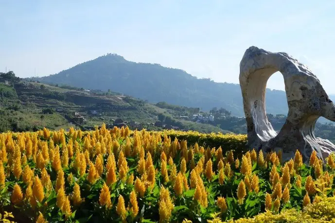 Khao Kho Flora 