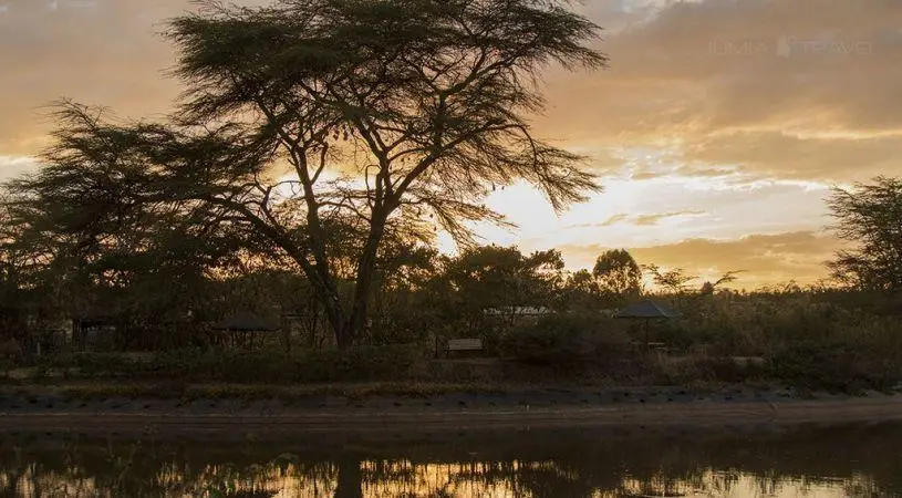 Ziwa Bush Lodge 