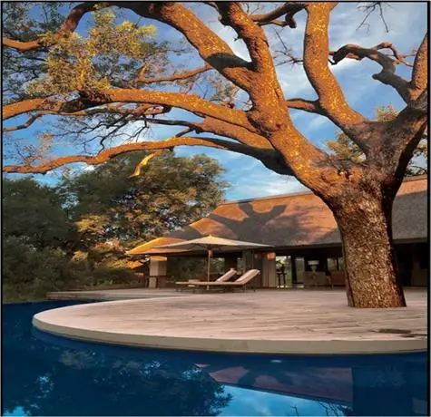 The River Lodge At Thornybush 