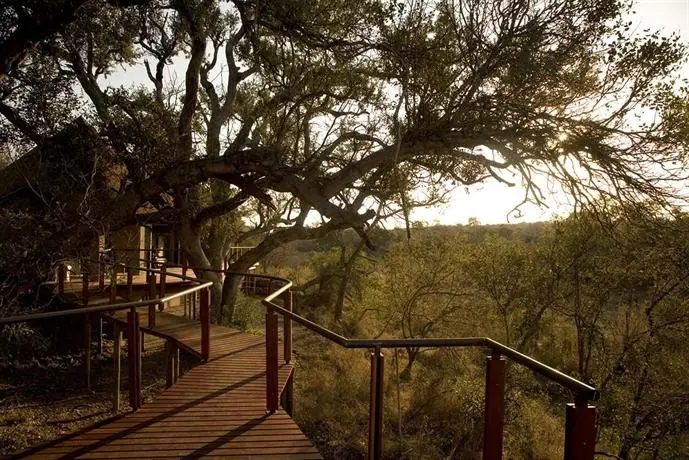 The River Lodge At Thornybush 