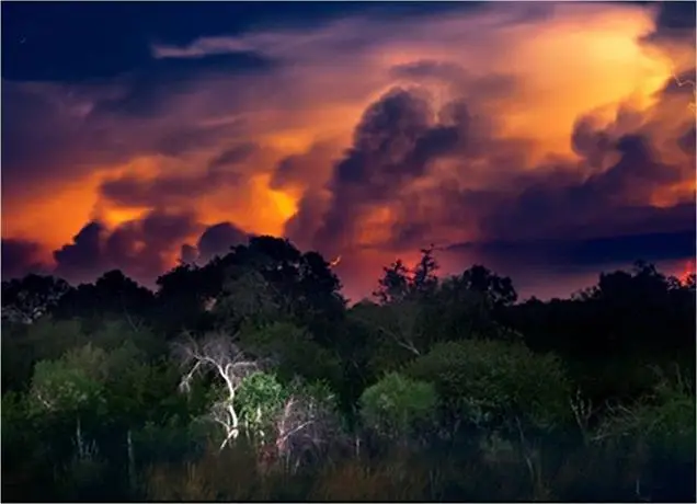 The River Lodge At Thornybush 