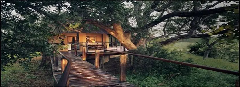 The River Lodge At Thornybush 