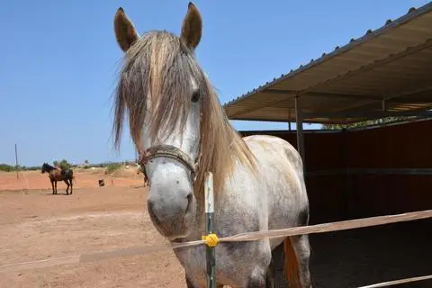 Finca Libertad 