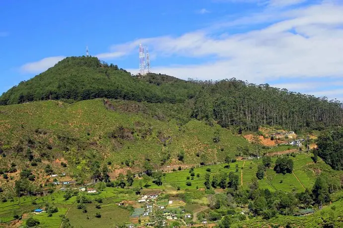 Hotel Green Forest 