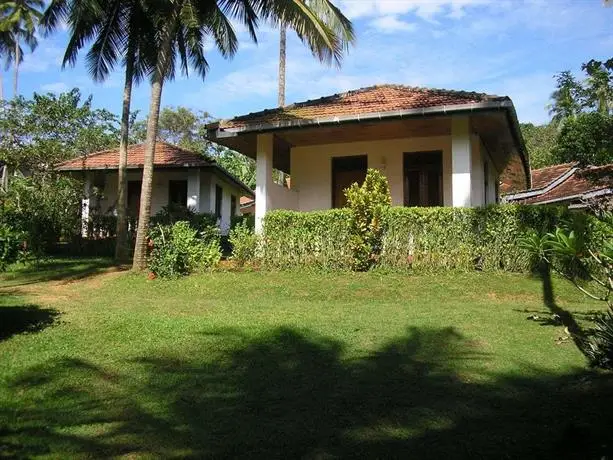 Rocky Point Beach Bungalows 