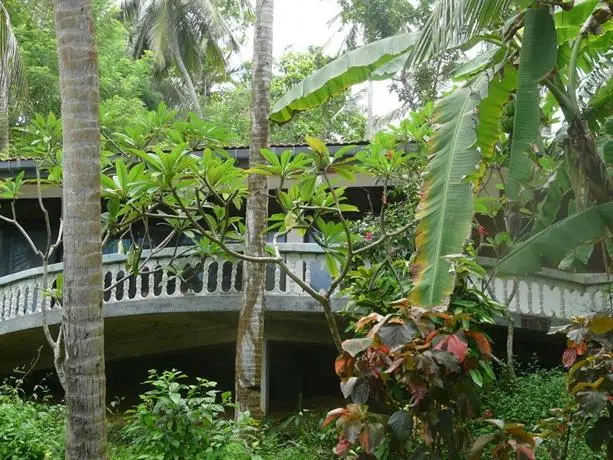 Rocky Point Beach Bungalows 