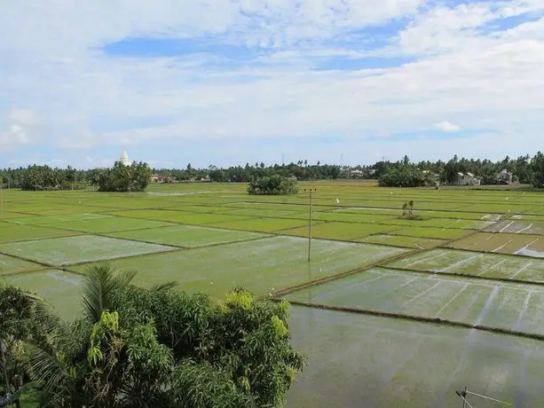 Serene Park Hotel 