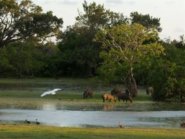 Vanaro Eco Lodge 