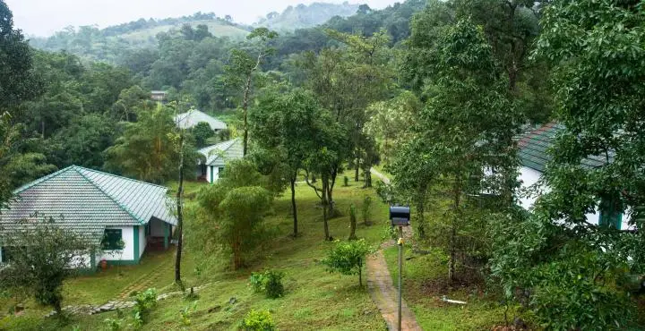 Orchard Holiday Resort Kalpetta 