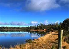 Lake Yalleena Cabins 