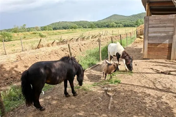 Agriturismo Da Lorena 