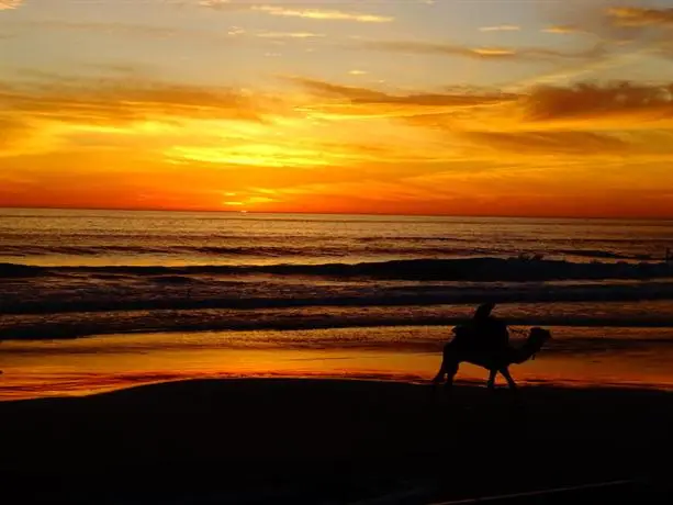 Surf Waves Morroco