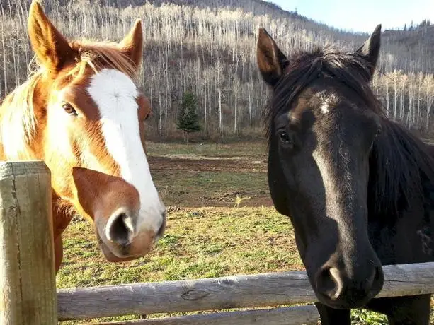 Elk River Guest Ranch 