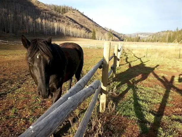 Elk River Guest Ranch 