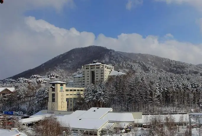 Yongpyong Resort Tower Condo