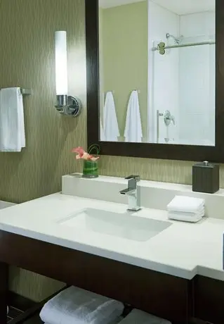 Hyatt Regency Atlanta Perimeter at Villa Christina 