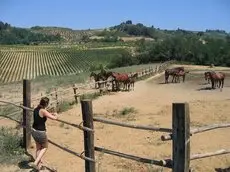 La Moraia 