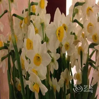 Suzhou Dongwu Hotel 