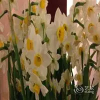 Suzhou Dongwu Hotel 