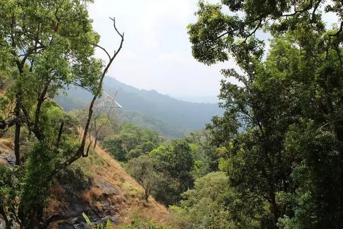 Eagle Mountain Munnar 