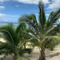 Rarotonga Villas 