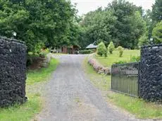 Cabanas Los Cantaros de Pucon 