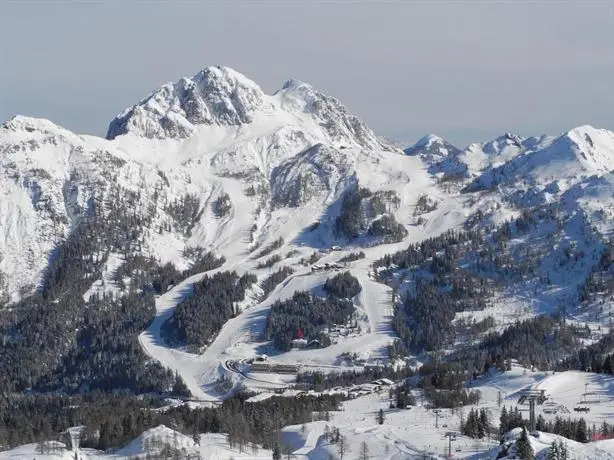 Apartments Bergblick