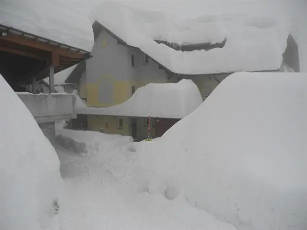 Apartments Bergblick 