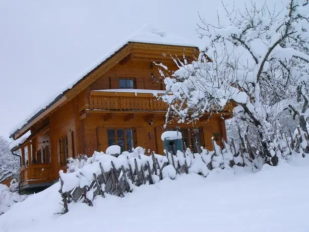 Ferienhaus Dietrich by Schladming-Appartements