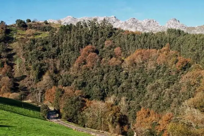 Posada La Almadrena