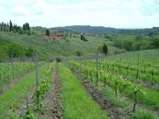 Fattoria di Fubbiano 