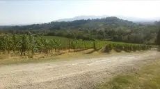 Fattoria di Fubbiano 