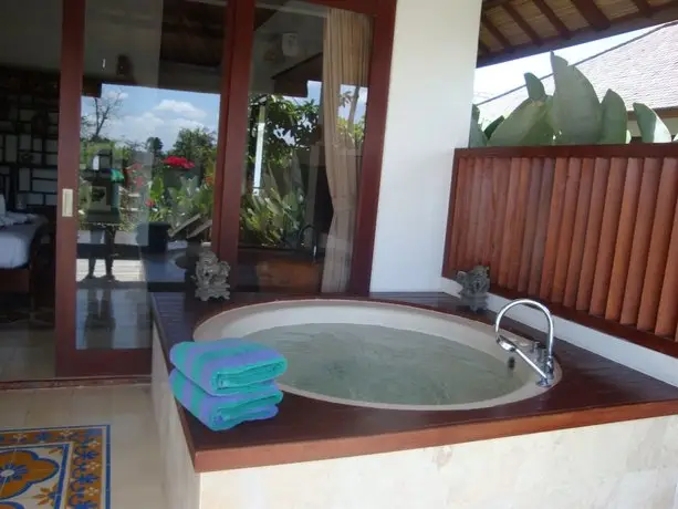 Aqua Octaviana Bali Villa 