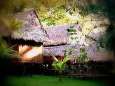 Amazon Eco Tours & Lodge 