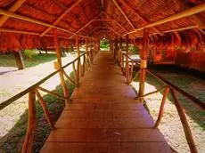 Amazon Eco Tours & Lodge 