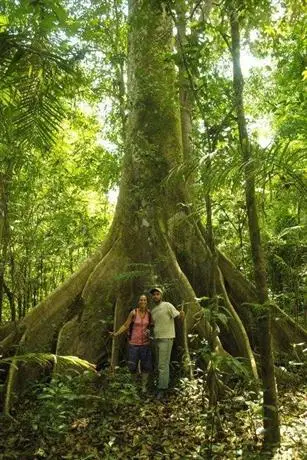 Amazon Eco Tours & Lodge 